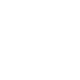 approval icon
