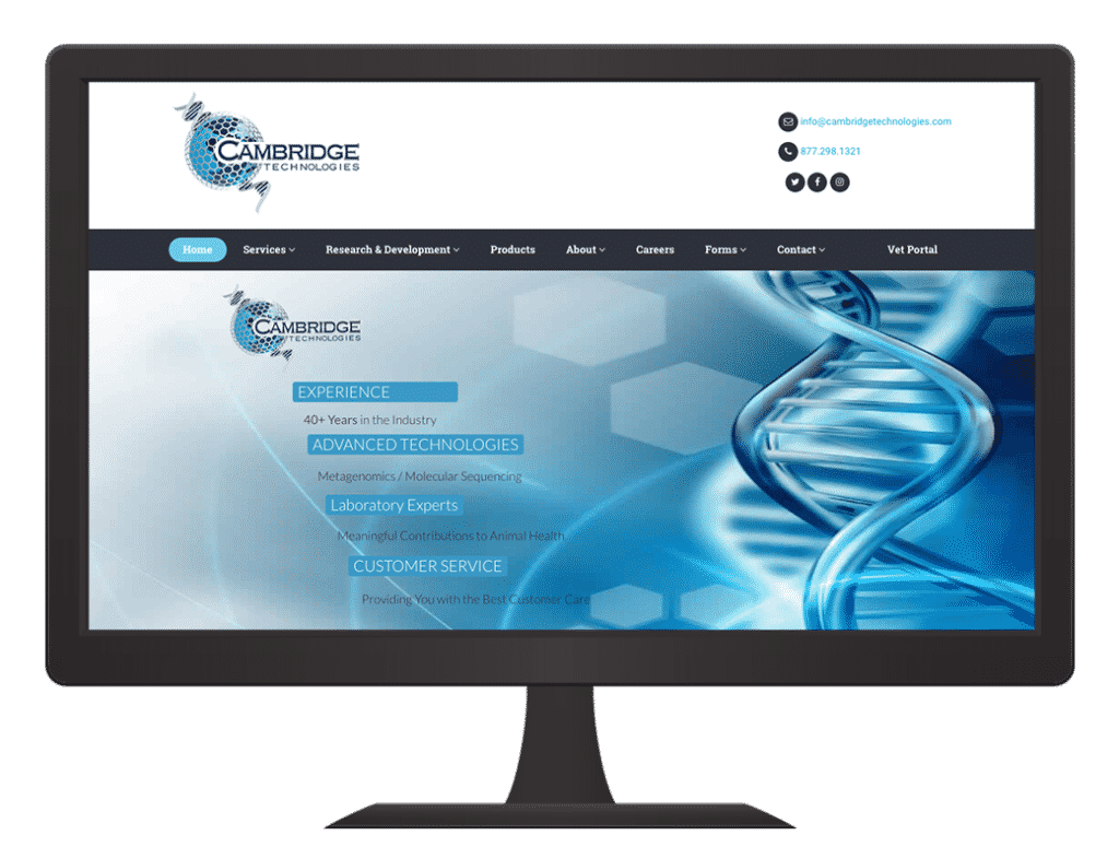 cambridge-tech-before-website Cambridge Technologies Website Before