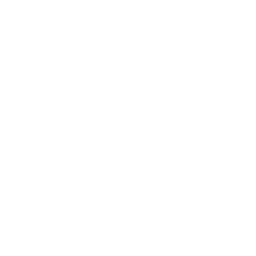 download (10) download icon white