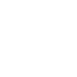search icon