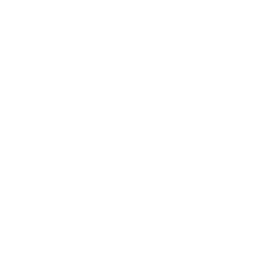 shopping cart icon