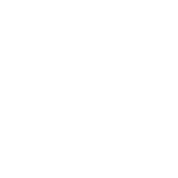 video icon