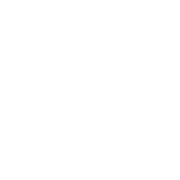 web deisign icon