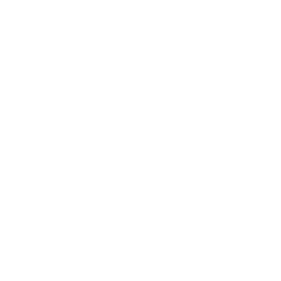 www search icon